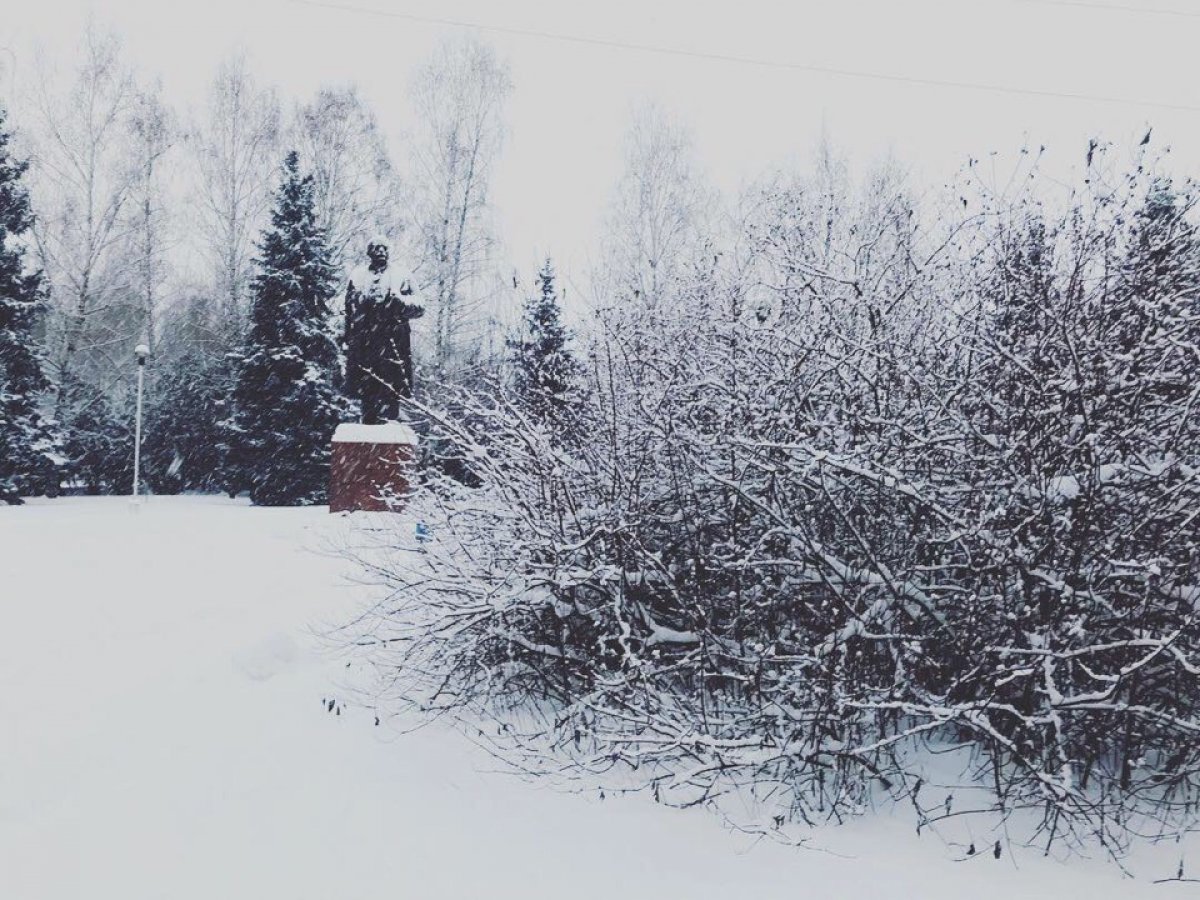 ❄Лиственничная аллея в зимнем наряде: цвет настроения белый!