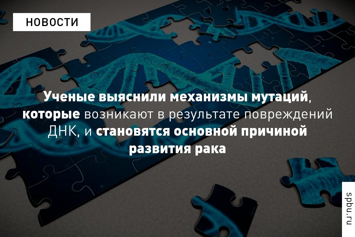 Понимание механизмов мутагенеза дает возможность лучше понять процесс развития онкологических заболеваний, а значит — позволит в будущем создавать более эффективные средства их лечения и профилактики: https://vk.cc/8QXQlw