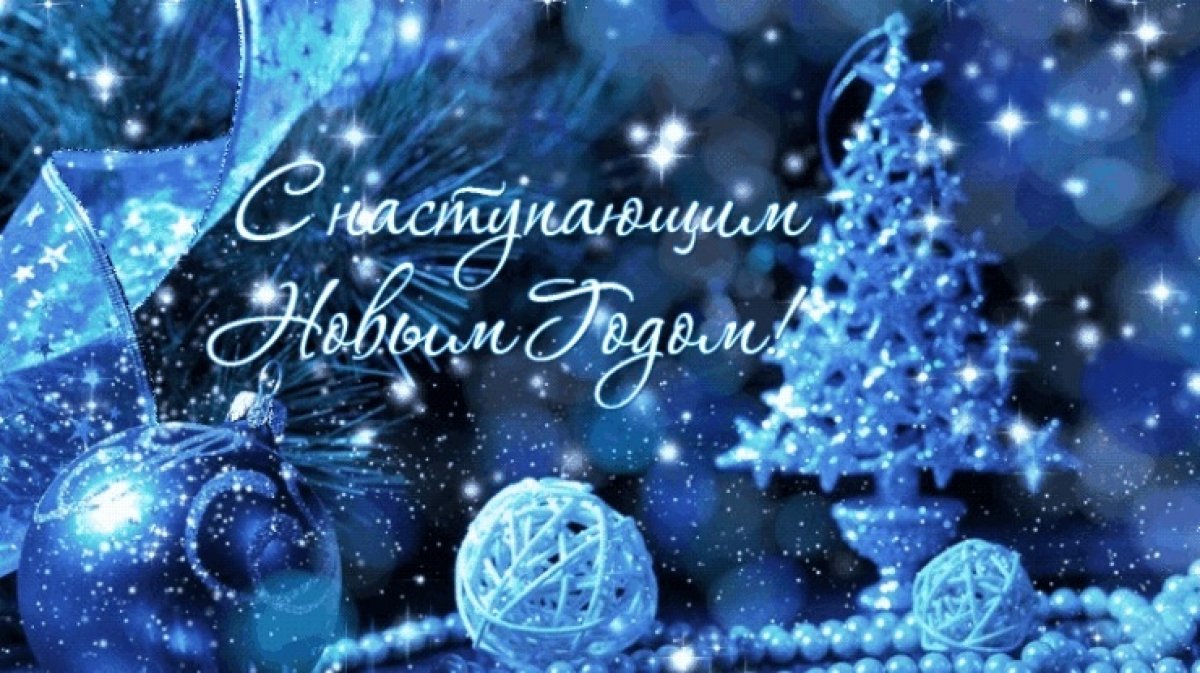 Новогоднее поздравление ректора БГУ Н. И. Мошкина