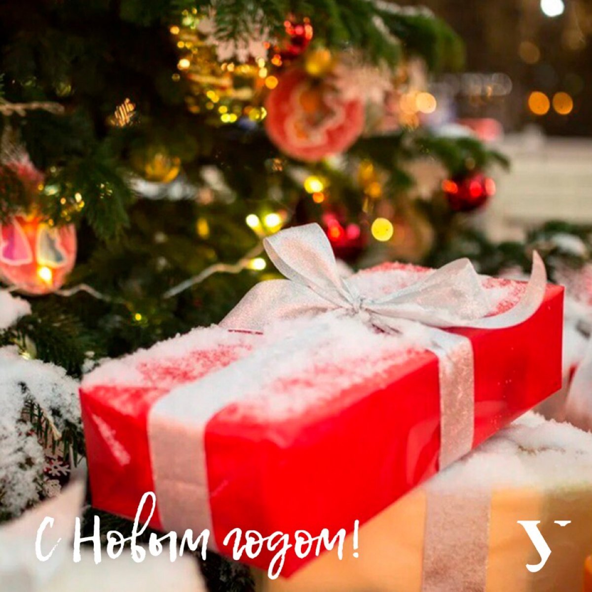 С праздником, Уральский федеральный университет!