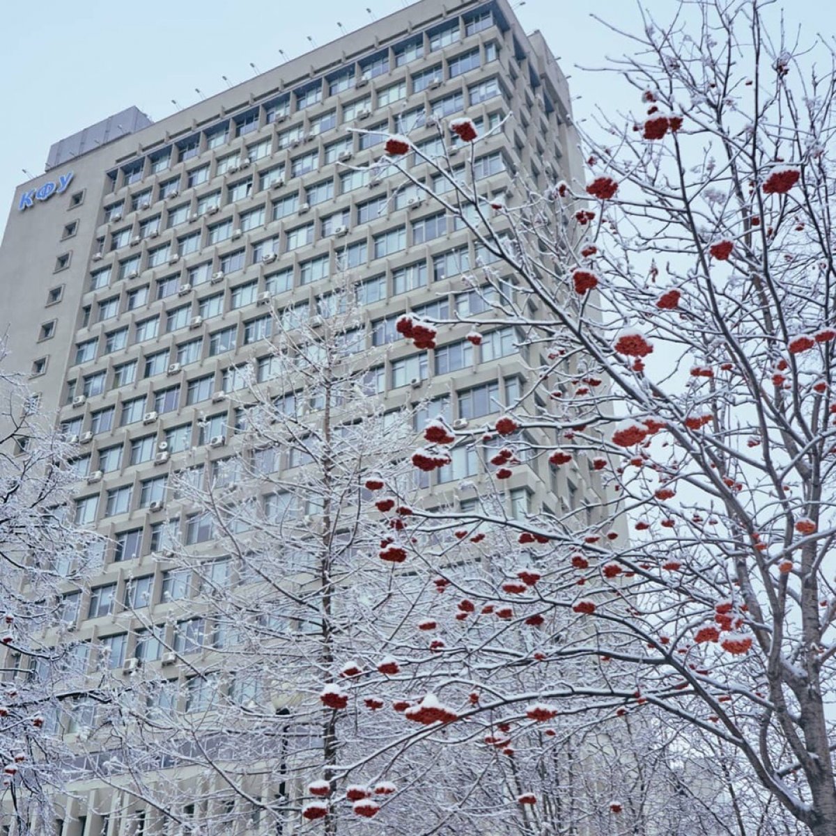 2019, привет😍🎄