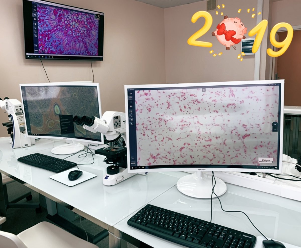 Цифровой гистологический класс готовится к внедрению в учебном корпусе № 4. Установлено 5 из 8 цифровых микроскопов