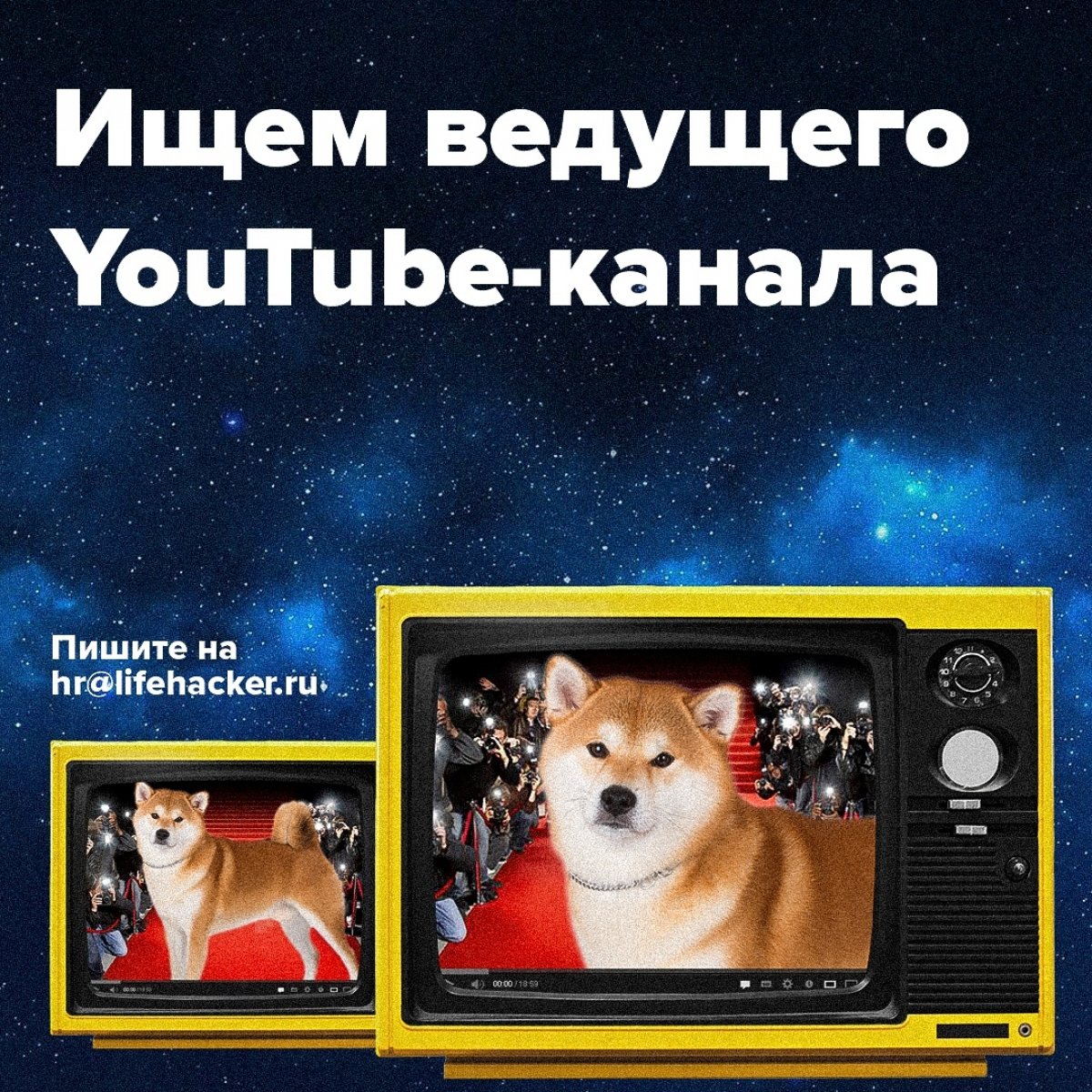 Лайфхакер ищет ведущего YouTube-канала. Порази своей харизмой и пусть о тебе узнает весь интернет!