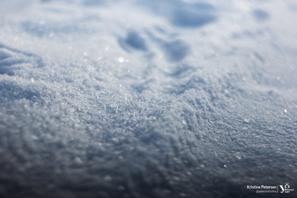 Доброе снежное утро ❄