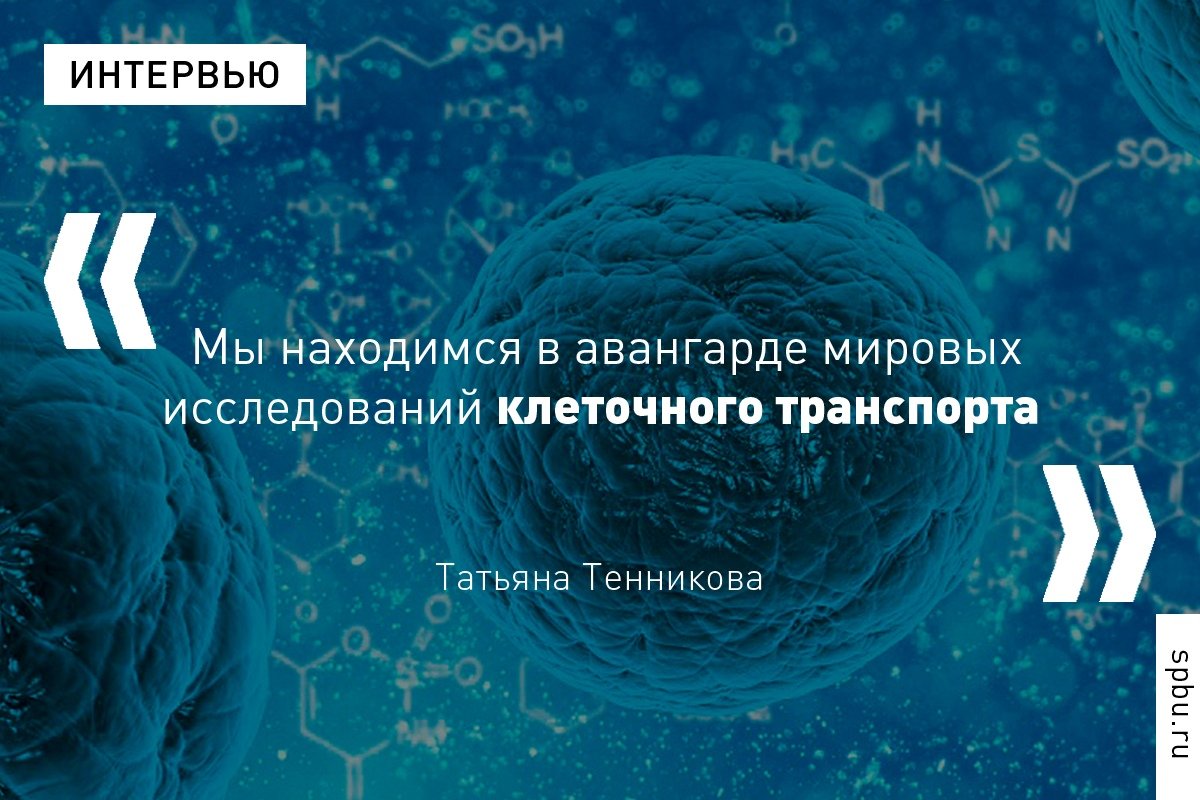 Год назад в Университете открылась лаборатория биогибридных технологий, созданная по результатам конкурса мегагрантов Правительства РФ