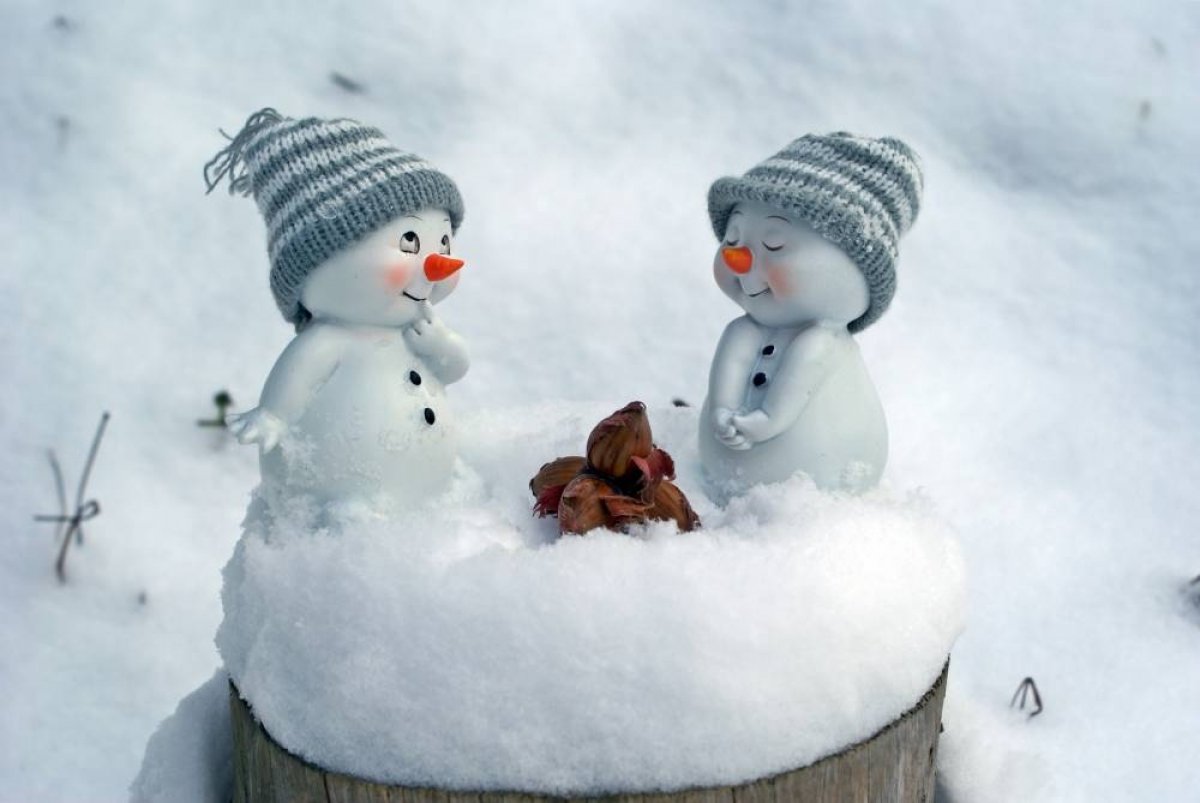 С 18 января 2019 года по 16 февраля 2019 года в Ефремовском филиале ФГБОУ ВО РязГМУ Минздрава России пройдет конкурс снежных фигур под названием «Зимняя сказка - 2019»❄⛄☁☀