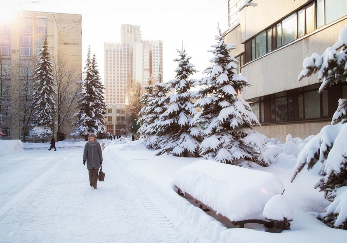 Зима в Академии ❄❄❄