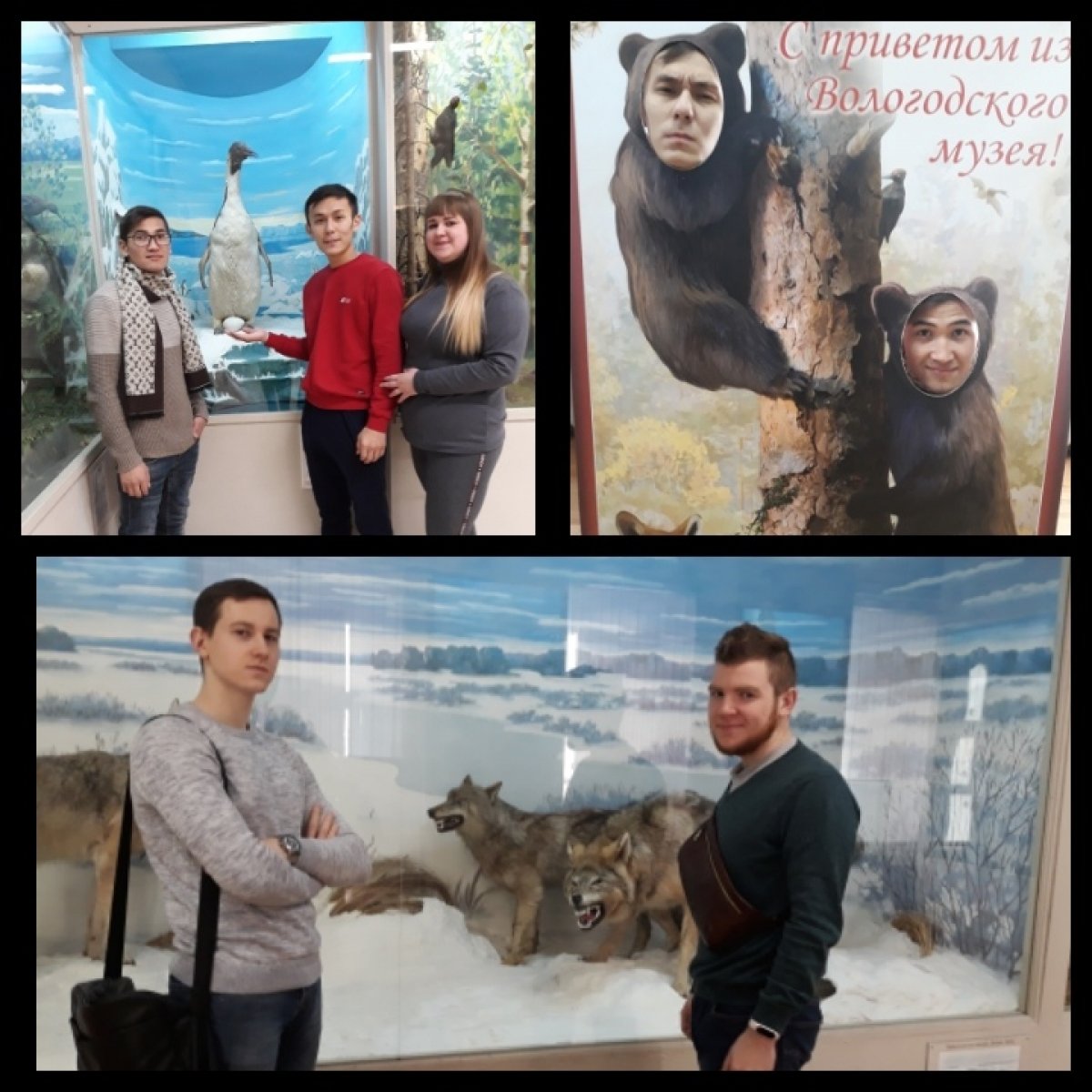 Студенты института машиностроения энергетики и транспорта побывали в Вологодском государственном музее-заповеднике