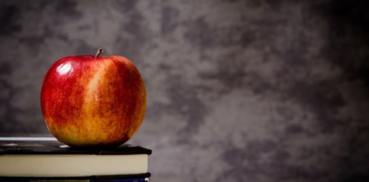 «Интерактивные методы организации образовательного процесса в начальной школе»