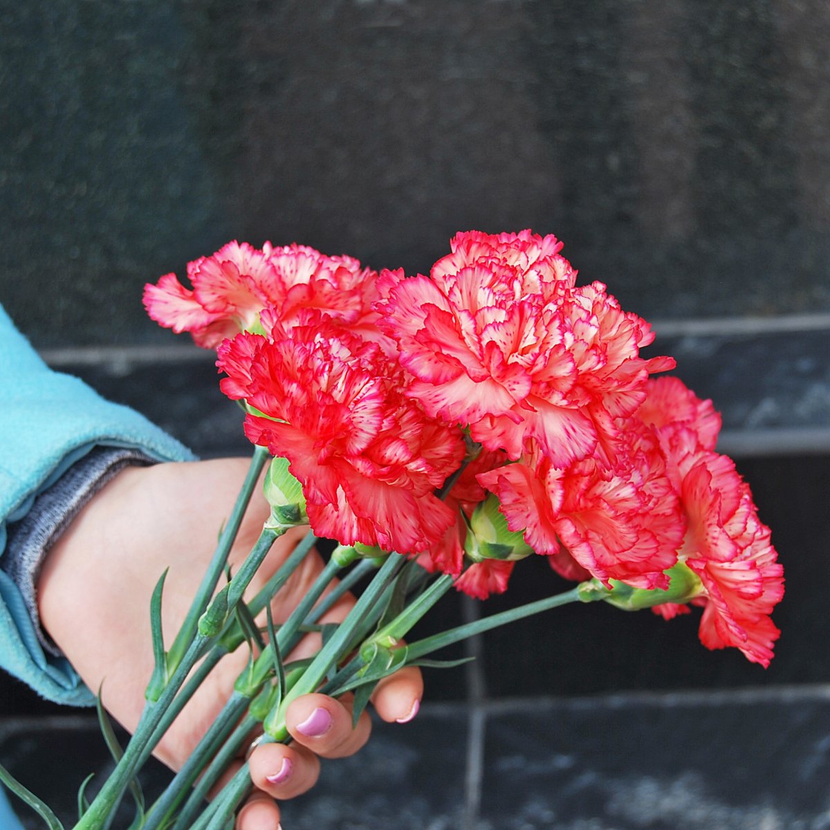 Вчера была 76-я годовщина освобождения Армавира от немецко-фашистских захватчиков. В этот важный день студенты ЮМТ приняли участие в митинге с возложением цветов к мемориалу – братской могиле умерших от ран в госпиталях