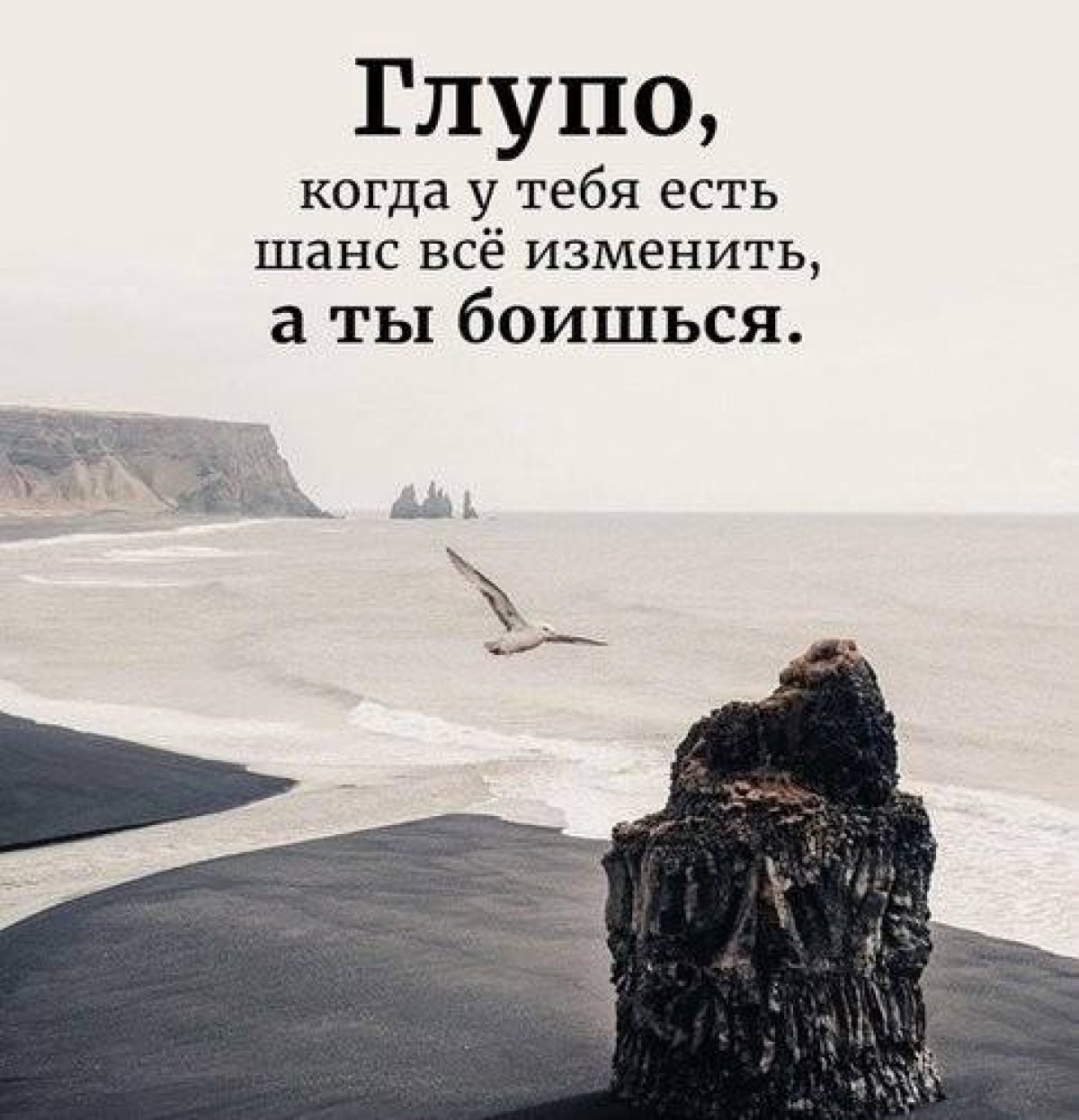 Новость от 07-02-2019