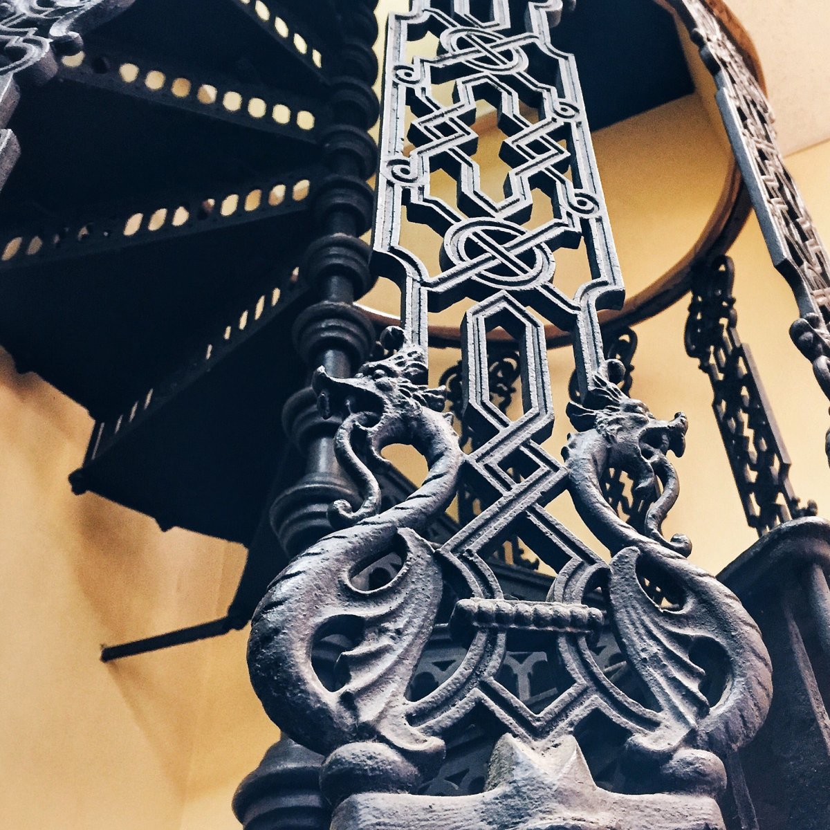 Винтовая лестница на кафедре ботаники Винтовая лестница на кафедре ботаники