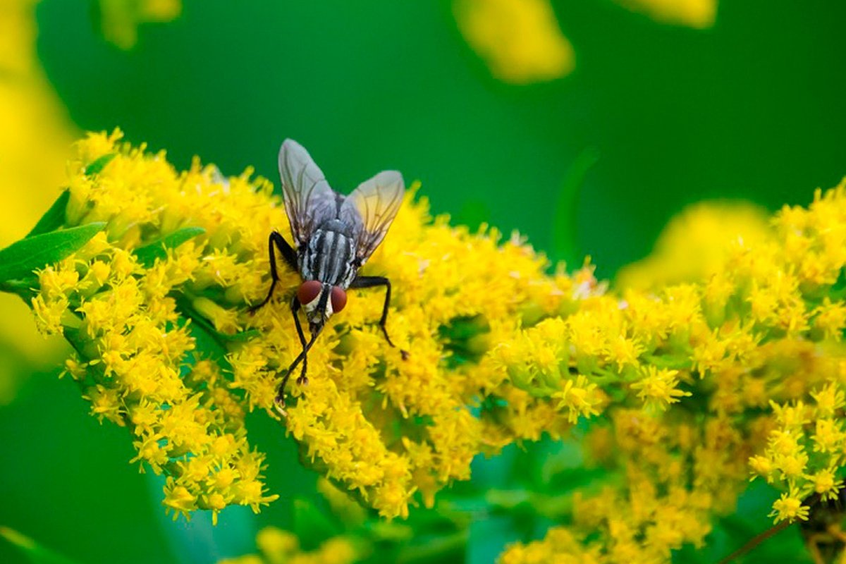 За последние 40 лет не было разработано ни одного нового класса антибиотиков: микроорганизмы выработали механизмы противодействия им За последние 40 лет не было разработано ни одного нового класса антибиотиков: микроорганизмы выработали механизмы противодействия им