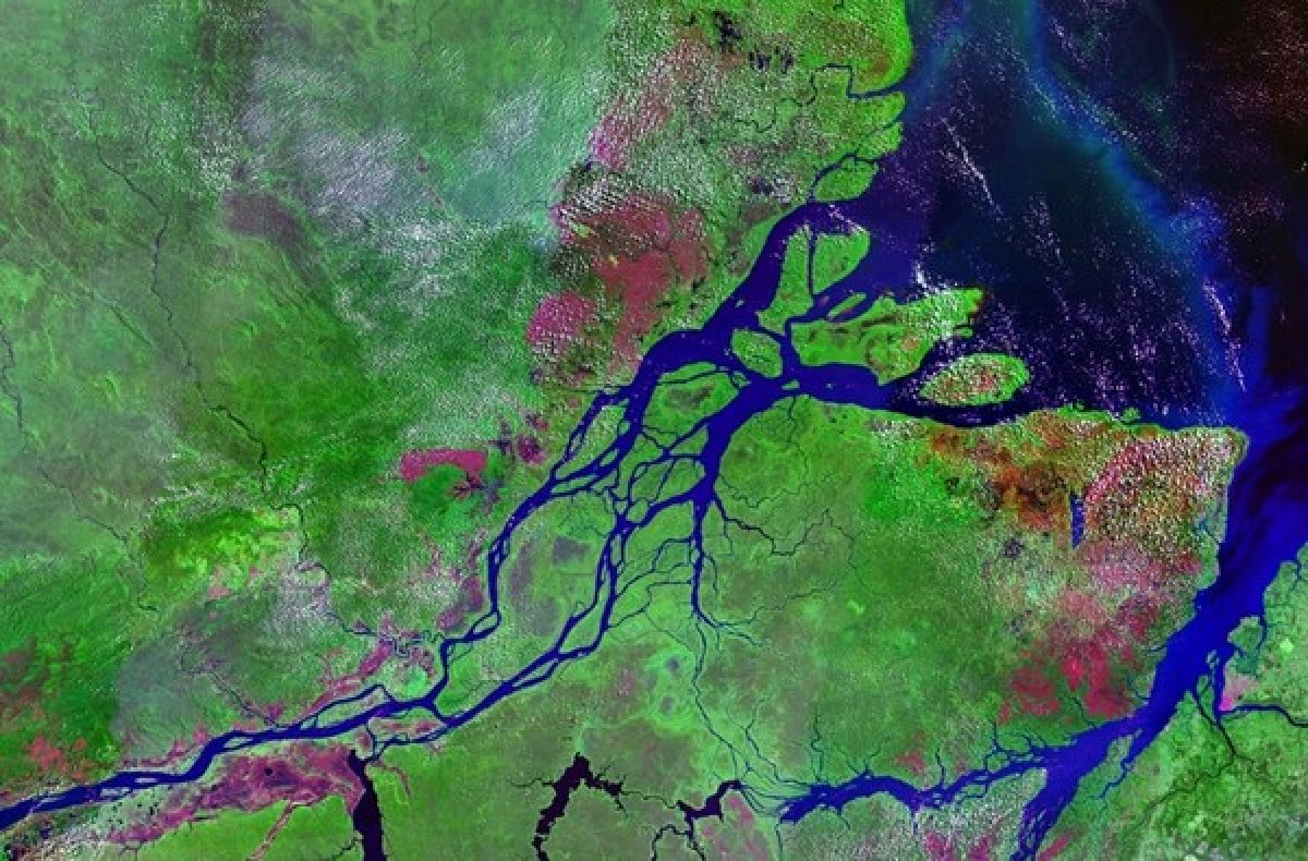 Устье реки Амазонки