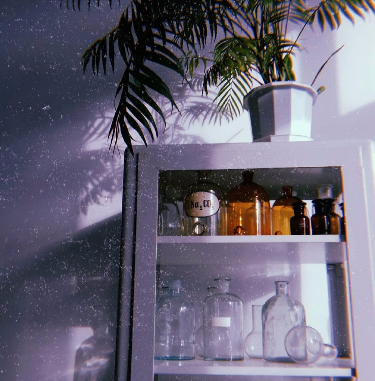 Какой сегодня чудесный день, 😊 а все потому, что пришла весна, и в воздухе уже чувствуется этот знакомый запах 🌷 одного из прекраснейших времен года.