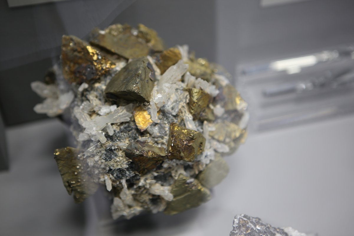 @nsu24 Новость от 03-03-2019