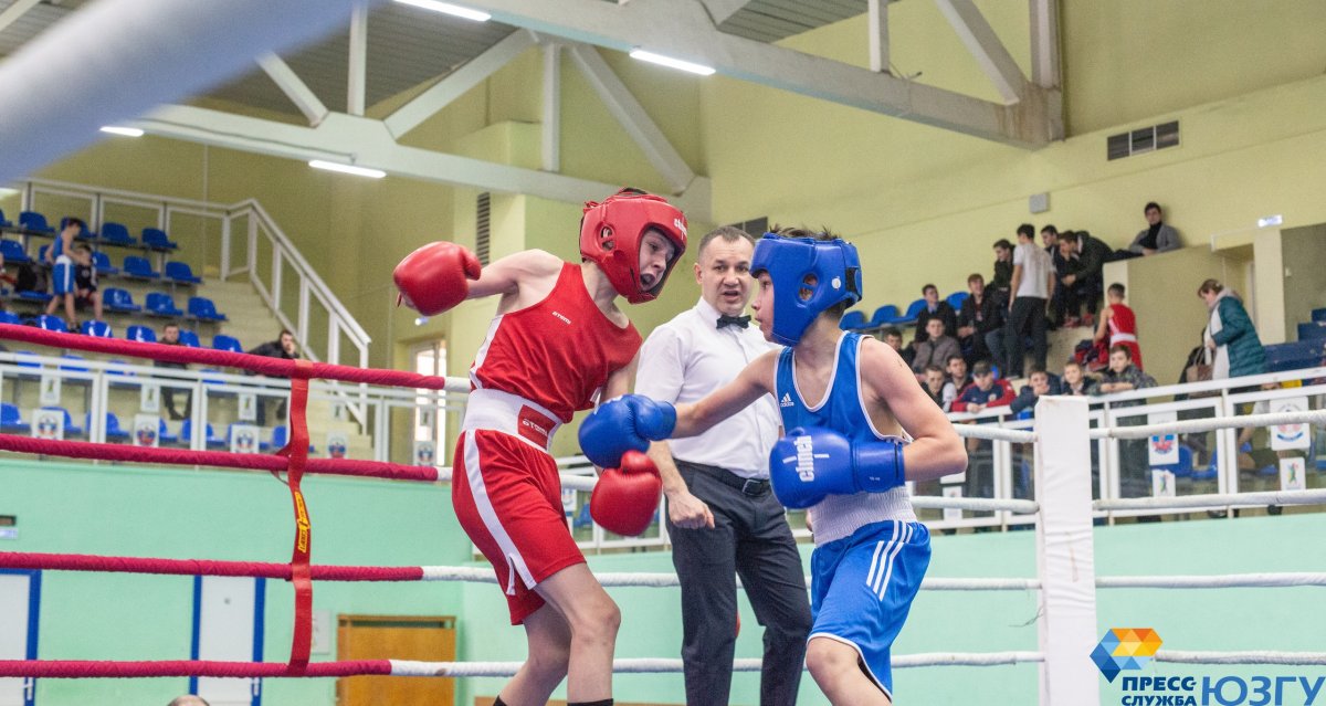 В Курске открылся турнир по боксу, посвященный известному тренеру Владимиру Поветкину