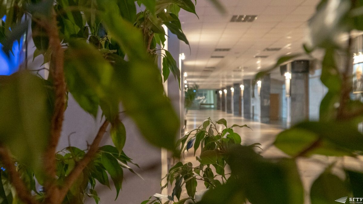 Коридоры БГТУ встречают весну с зелёными листьями🍃