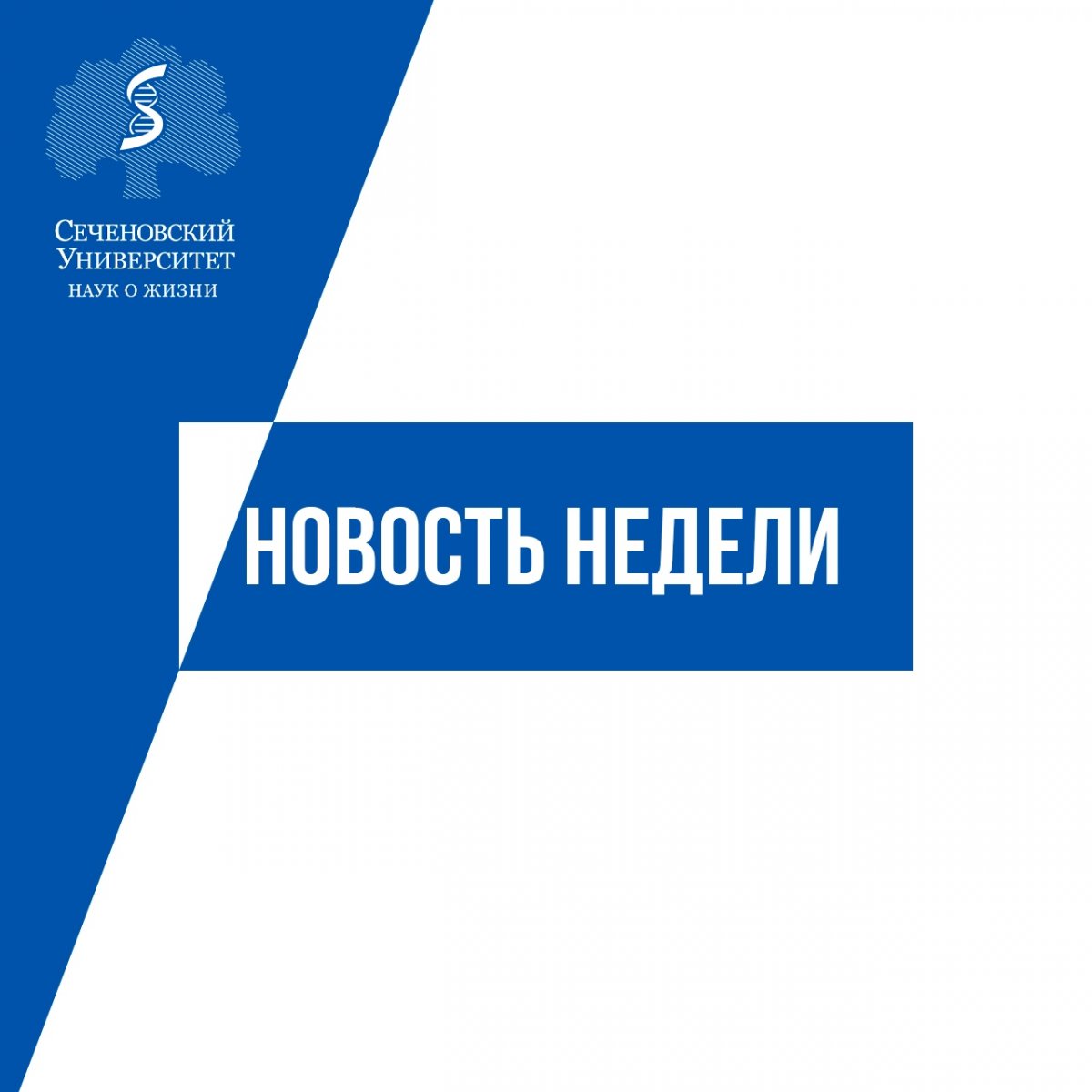 — Бесплатное мобильное приложение для проверки слуха от ВОЗ