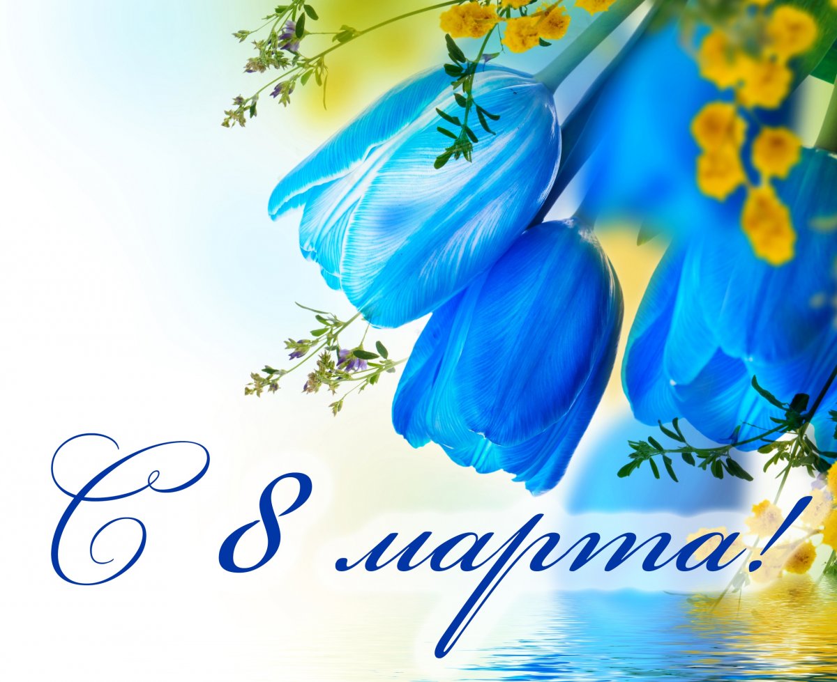 Дорогие коллеги, студентки, сотрудницы университета! Дорогие коллеги, студентки, сотрудницы университета!