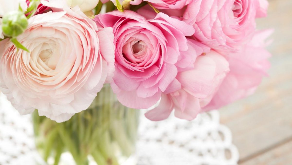 Наши дорогие и прекрасные сотрудницы и студентки БИЭПП! Поздравляем вас с прекрасным праздником — Международным Женским Днем 8 Марта! Пусть в Вашей жизни всегда цветут самые прекрасные сады
