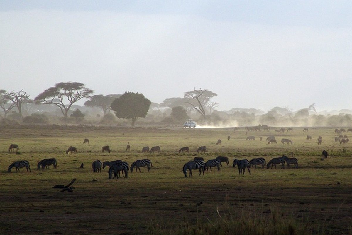 В открыт конкурс для молодых исследователей, победитель которого получит финансовую поддержку экспедиции в страны Африки