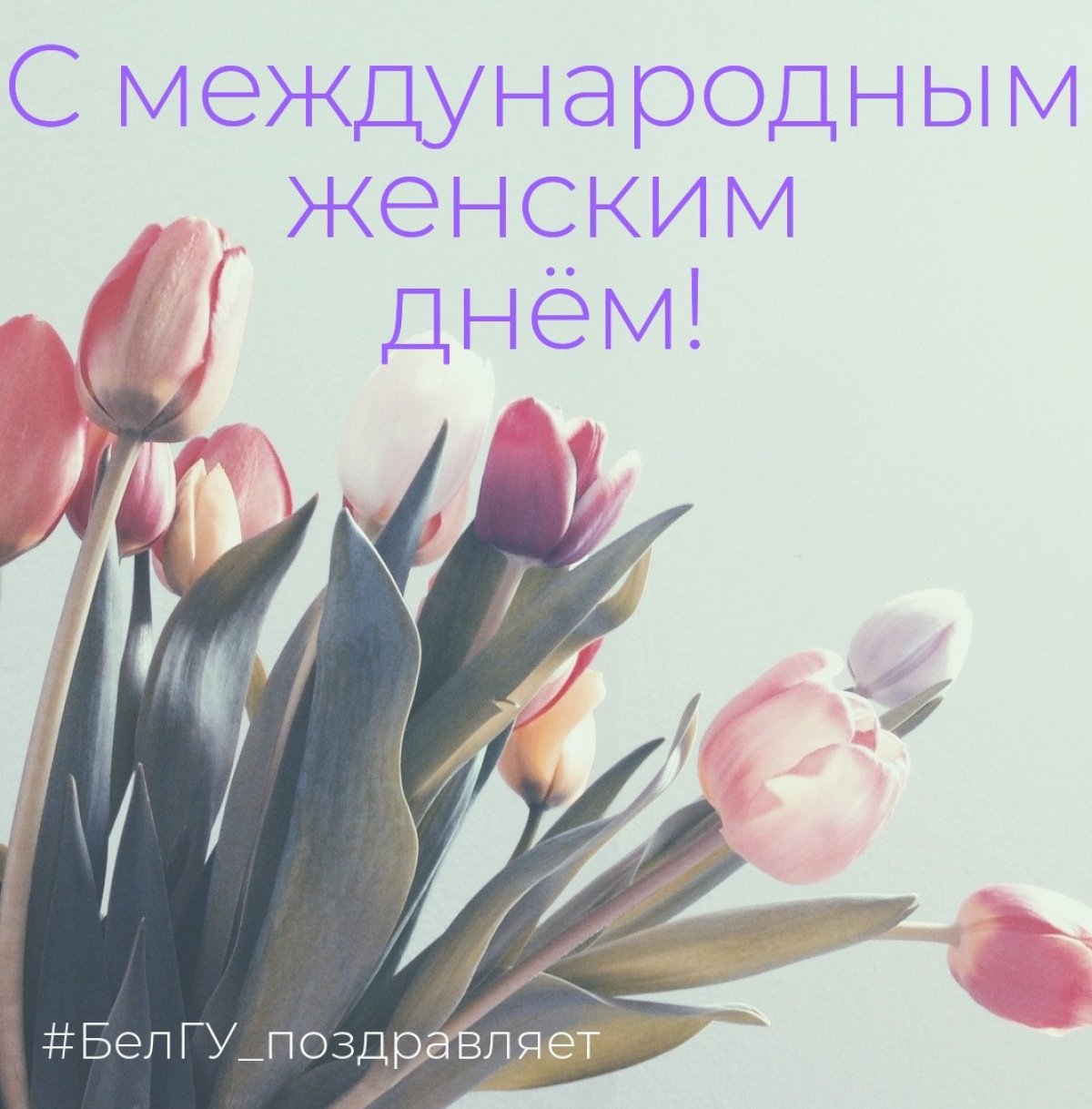 прекрасную часть нашего университета 🌸