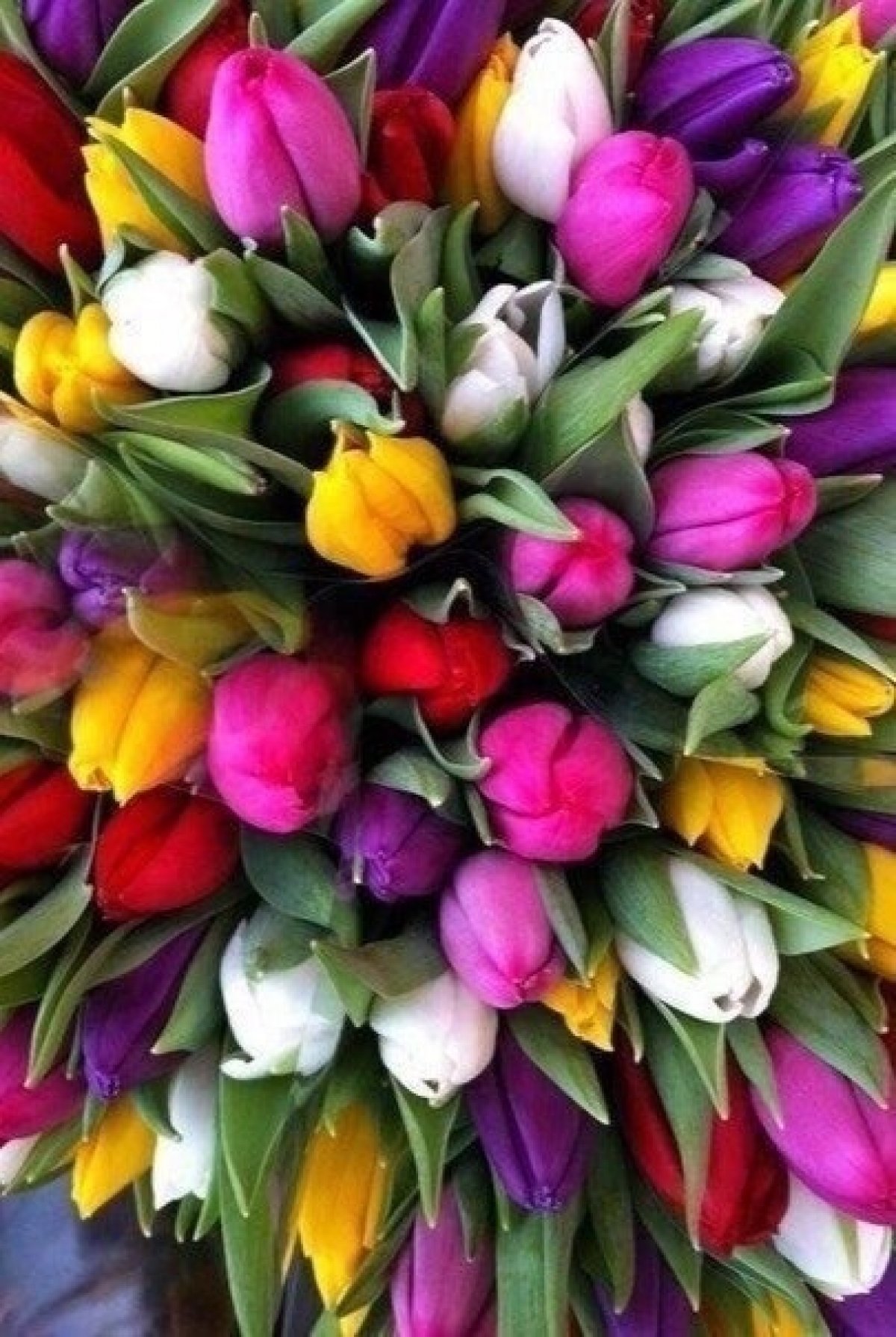 С праздником вас , наши милые, нежные, добрые, очаровательные девушки, продолжайте оставаться такими же яркими, чувствительными и эмоциональными. Радуйте окружающих своей красотой и женственностью.✨