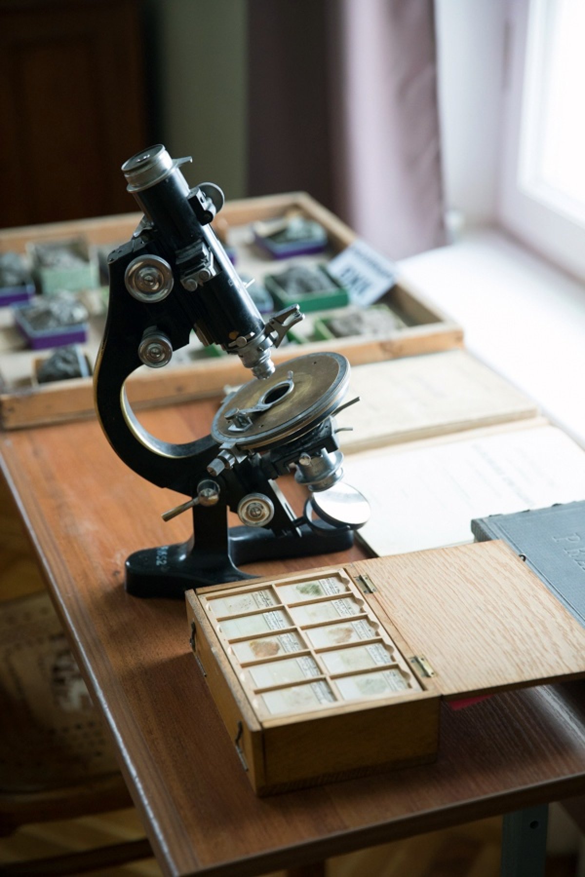 Петрографическая коллекция