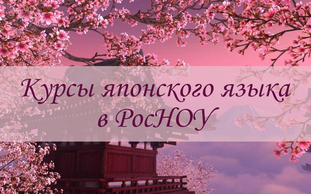 С 11 марта по 23 мая в Российском новом университете (РосНОУ) пройдут курсы японского языка 🎎