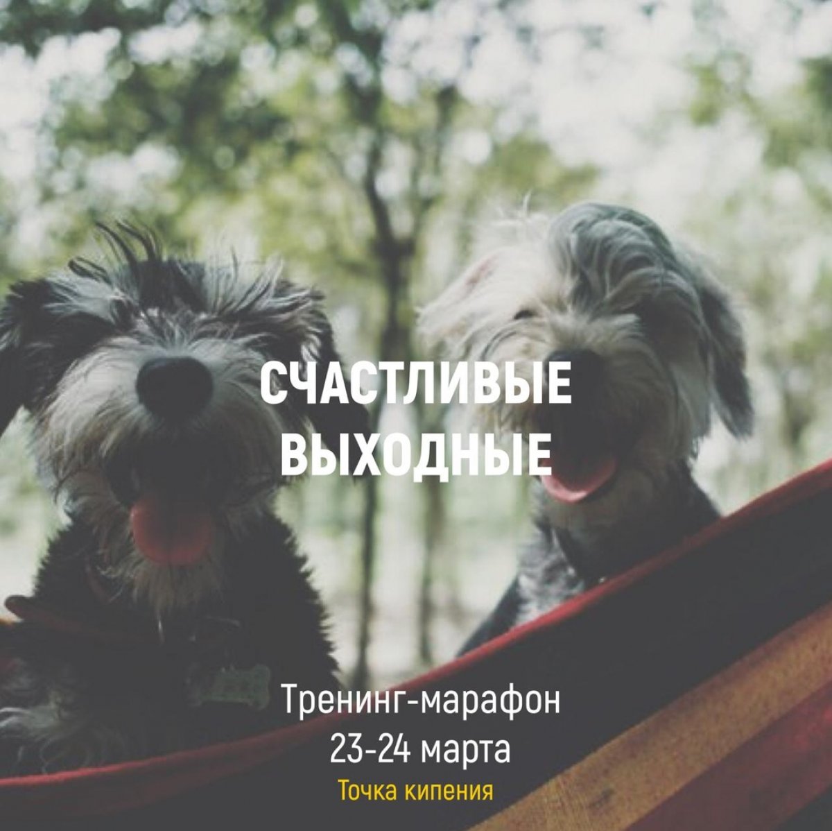 🌟МОЛОДЕЖНЫЙ ТРЕНИНГ-МАРАФОН! 🌟