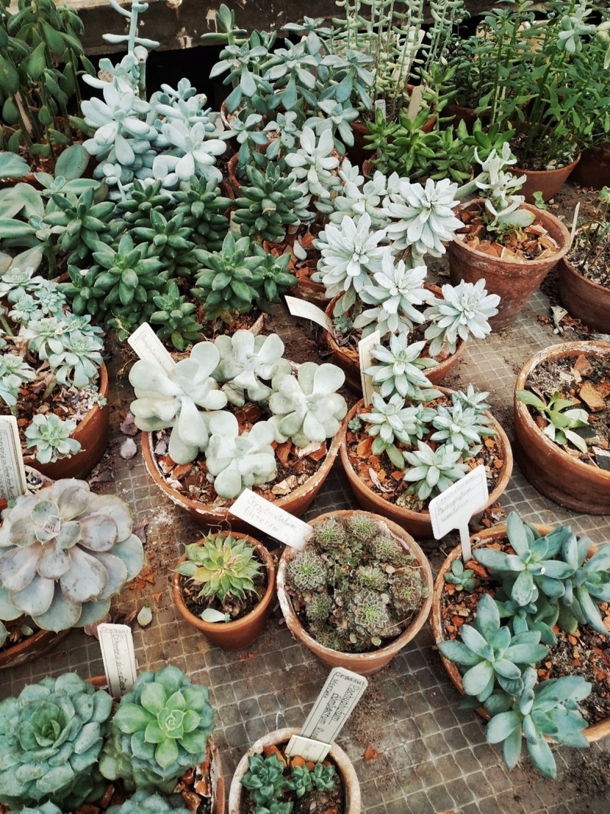 Ботанический сад . Кстати, уже в эту пятницу можно его посетить и помочь с уборкой на субботнике: https://vk.cc/9c9UEg