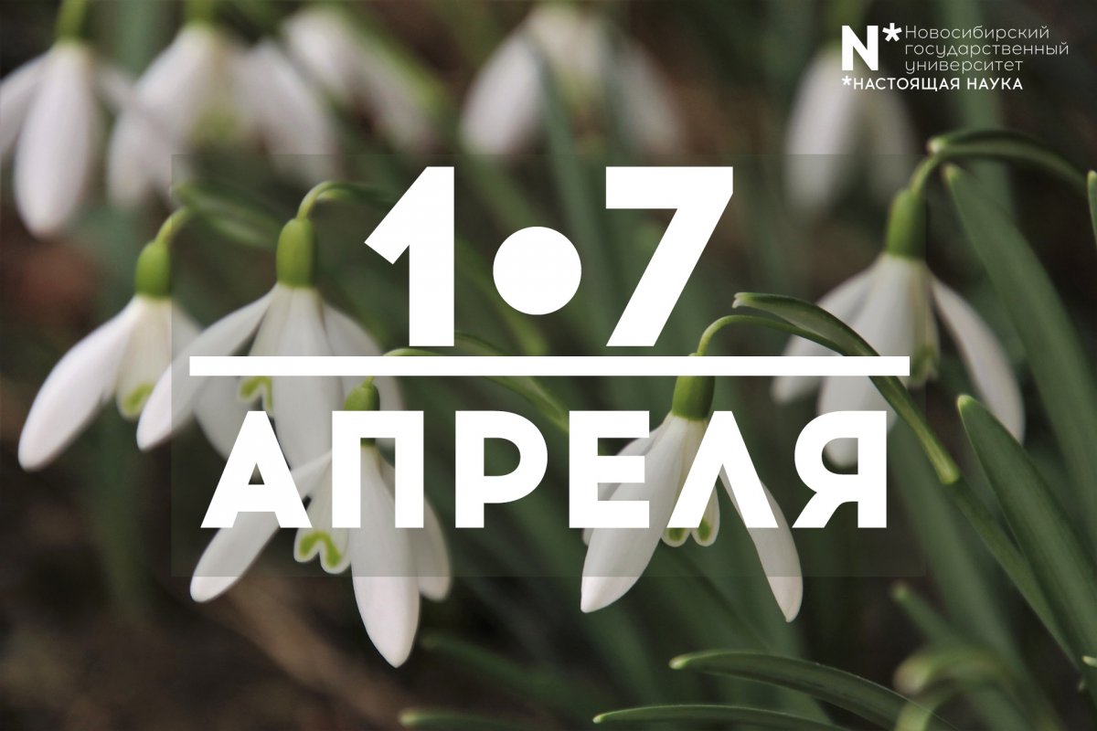 @nsu24 Новость от 01-04-2019