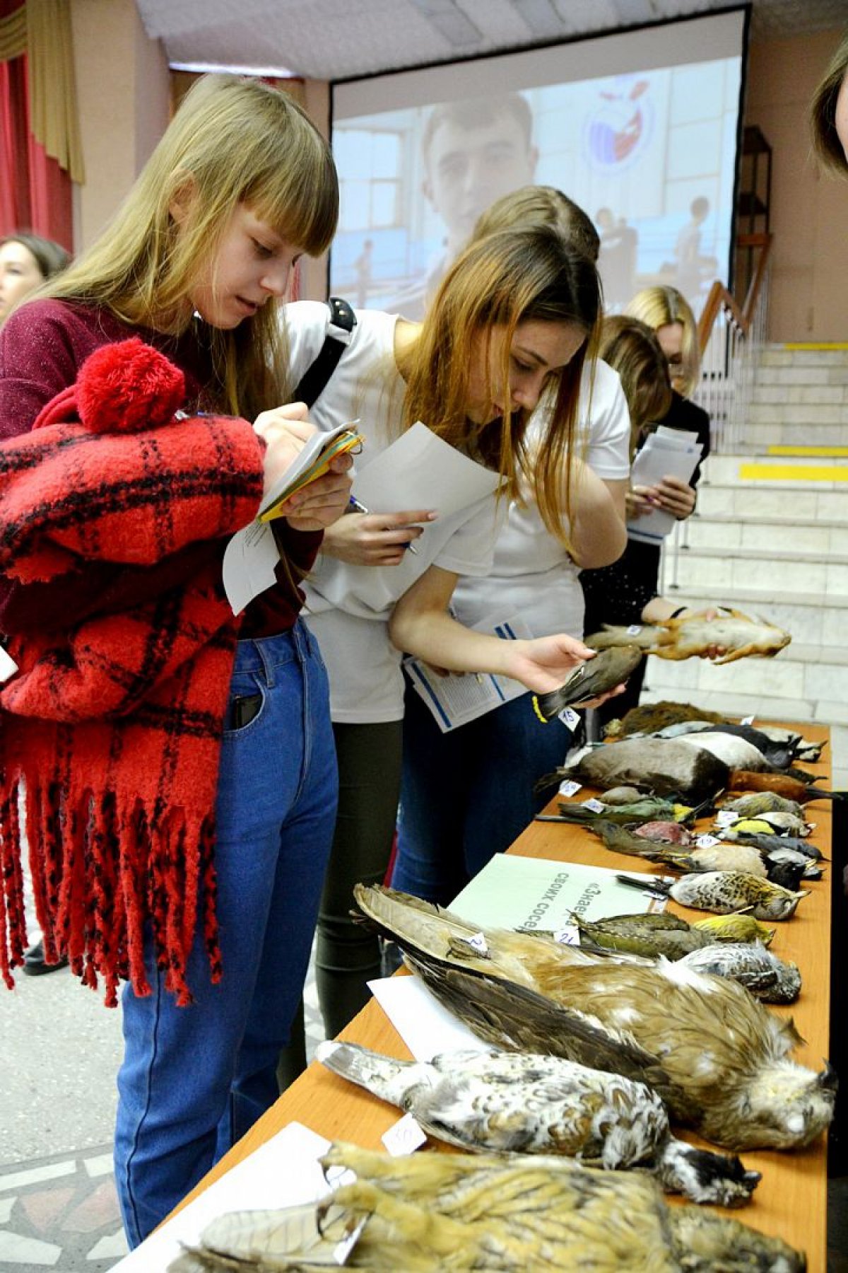 🌟 День открытых дверей АлтГУ в этом году проходил сразу на двух площадках и собрал более 600 участников