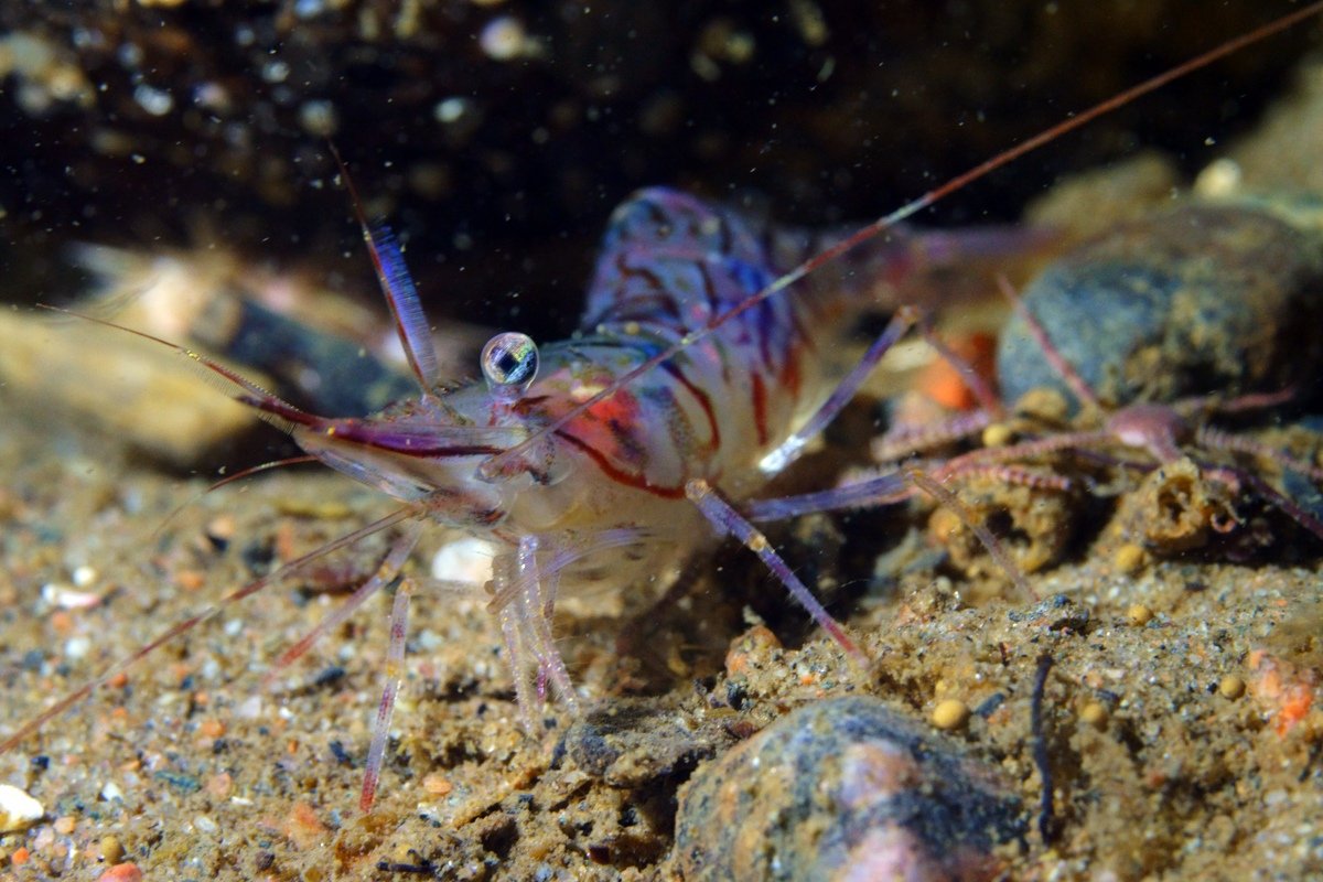 В коридоре здания Двенадцати коллегий проходит фотовыставка студентов-биологов