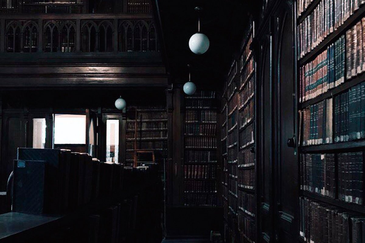 Делимся курсом лекций профессора Елены Алымовой