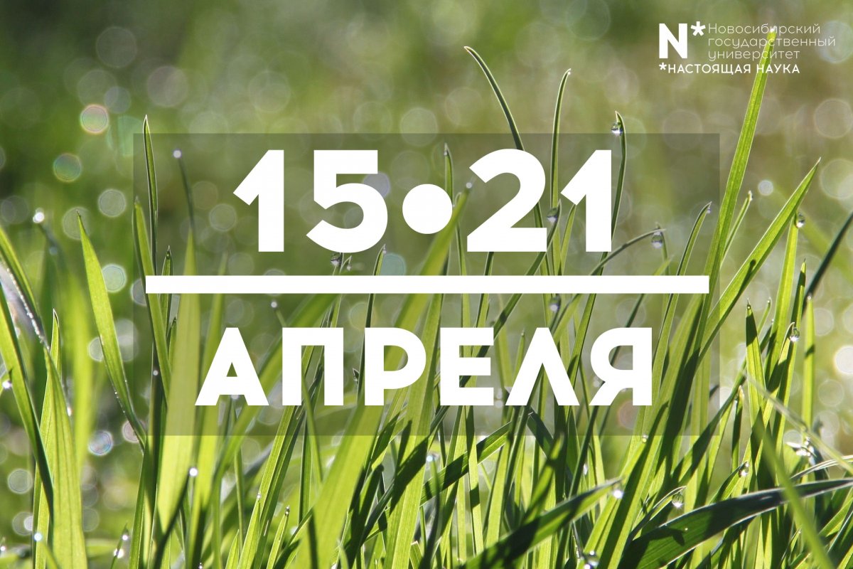 @nsu24 Новость от 15-04-2019