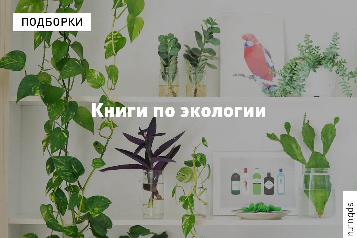 Научно-популярная литература, которая поможет сделать первый шаг в сторону осознанного отношения к природе — делимся подборкой книг от экологического отдела : Научно-популярная литература, которая поможет сделать первый шаг в сторону осознанного отношения к природе — делимся подборкой книг от экологического отдела :