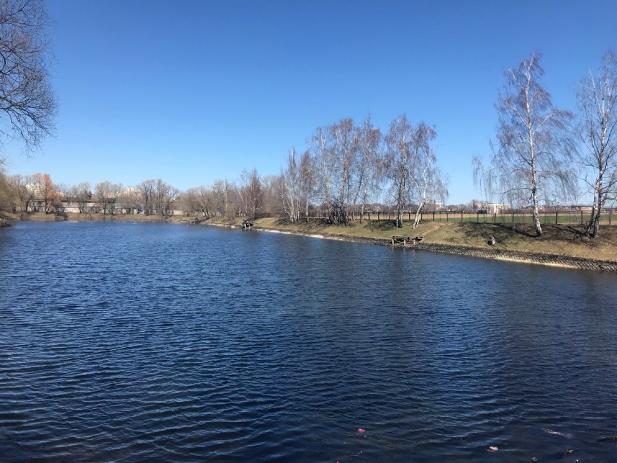 🌿 Примета Тимирязевки: растаял лёд на прудах - значит пришла весна!