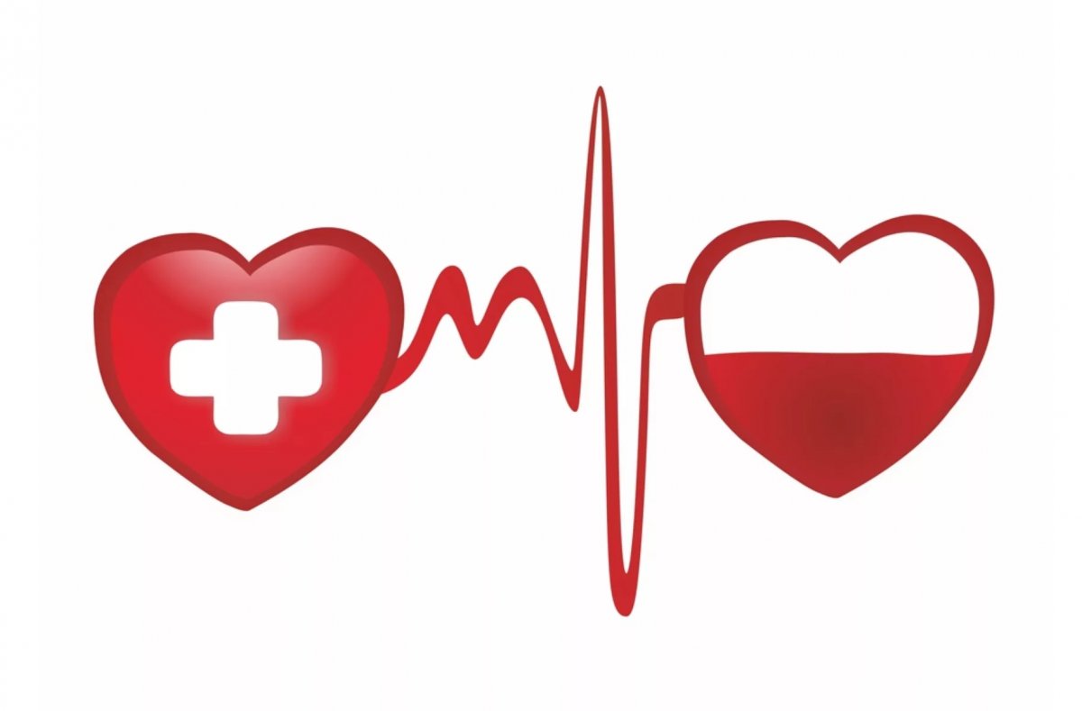 19 апреля 2019 года состоится донорская акция в 8:00 в ГБУЗ «Волгоградский областной центр крови» (ул. Голубинская
