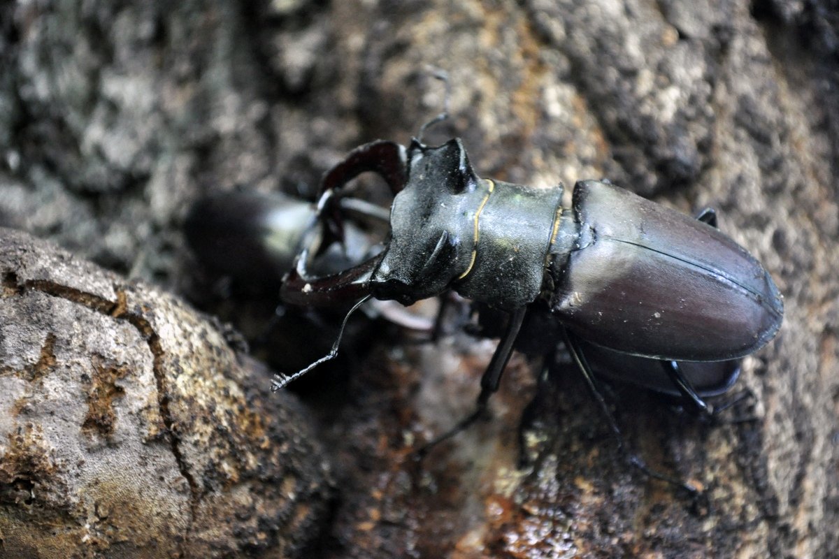 Из экспедиций и практик студентов-биологов