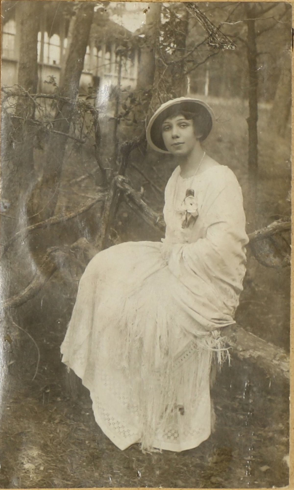 В 1920 году в Старом Петергофе была основана Естественно-научная станция Петроградского государственного университета по инициативе его ведущих профессоров