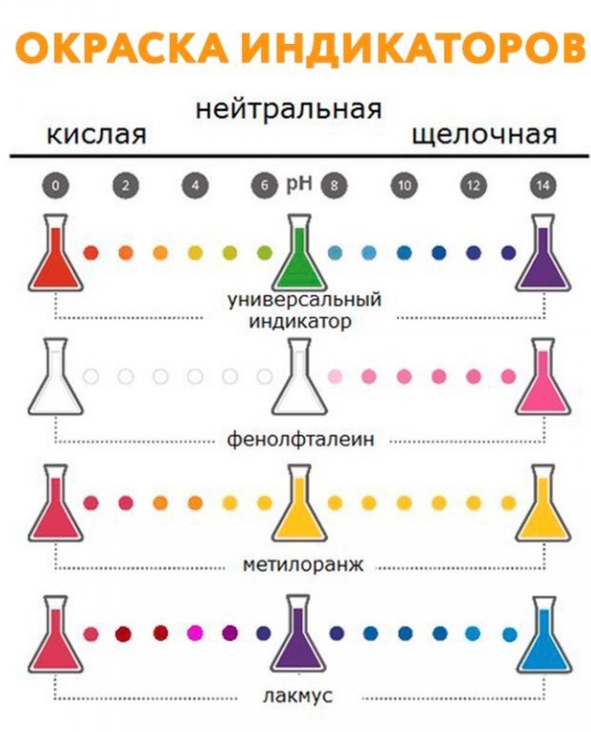 🌈 Сегодня в рубрике @mgmsulive изменения окраски индикаторов в различных средах: