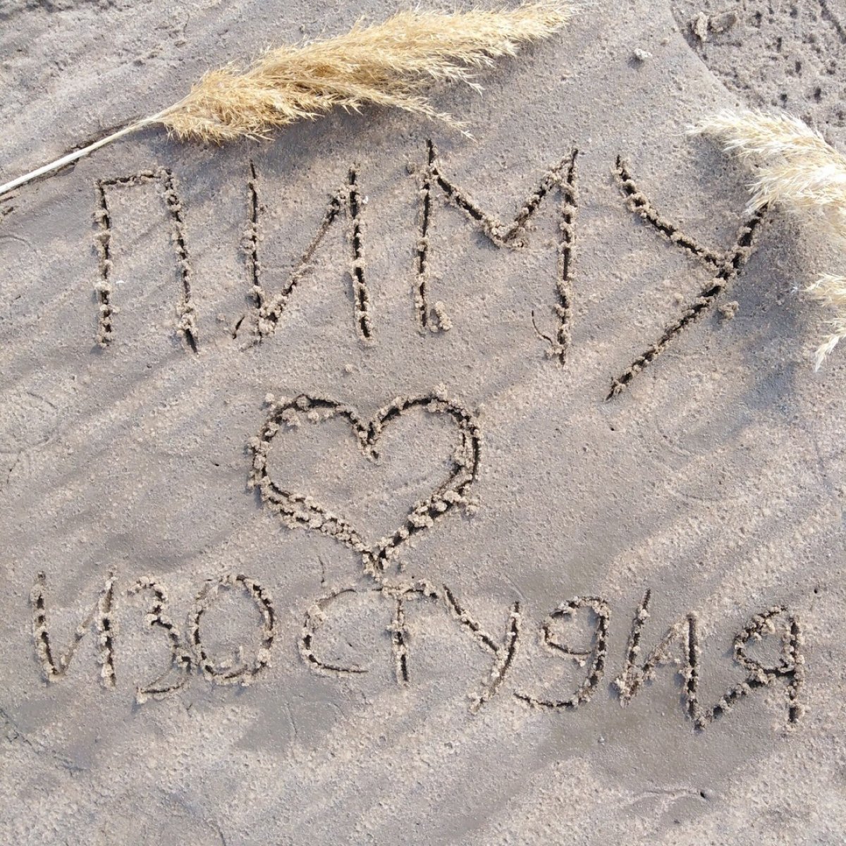 Мастерская-студия им. Жижиленко при ПИМУ