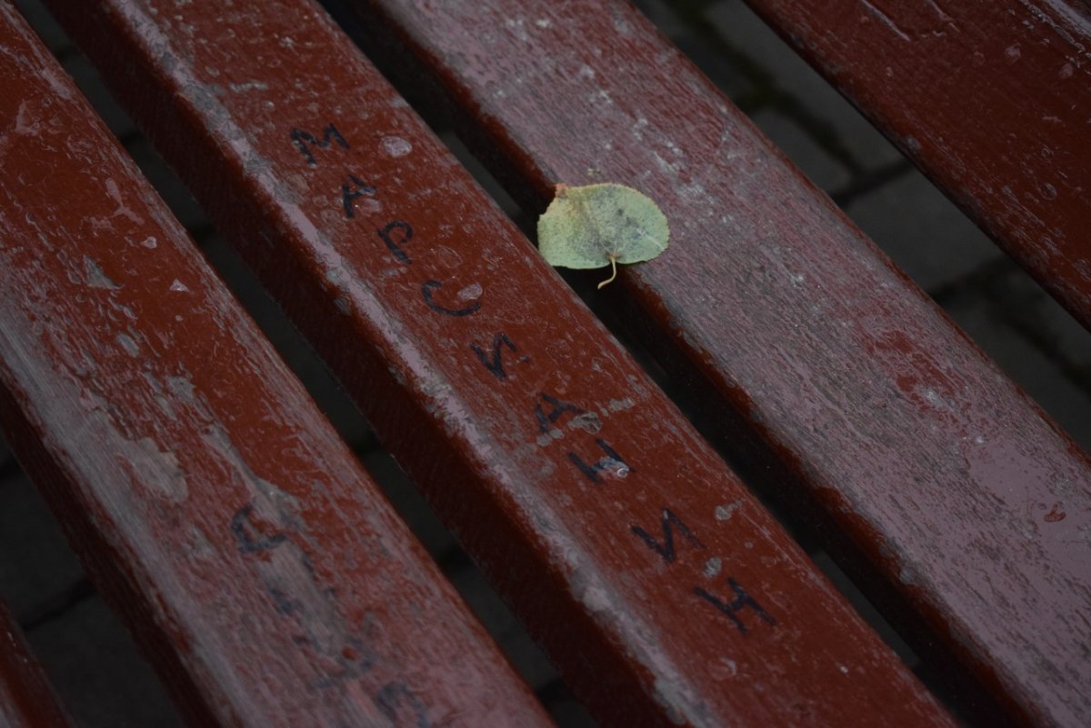 💭 ТРЕНИРОВКА ПАМЯТИ 💭