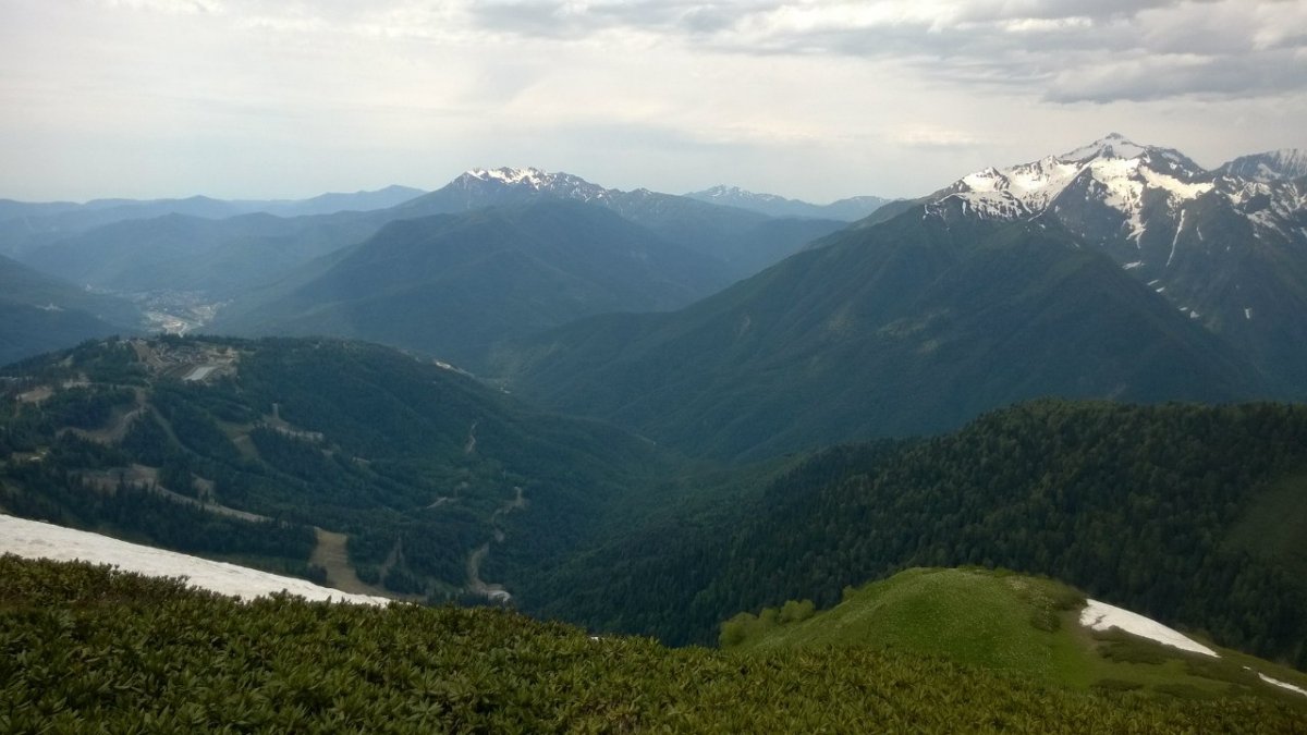 Из экспедиций учёных