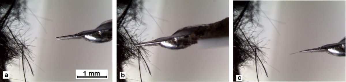 Учёные НИЯУ МИФИ совместно с коллегами из Национального исследовательскиого технологического университета «МИСиС»