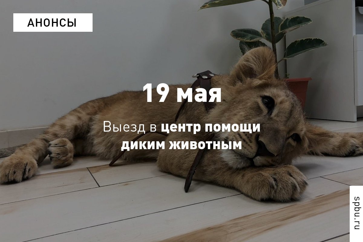 Эко-активисты приглашают на выезд в центр помощи диким животным «Велес»