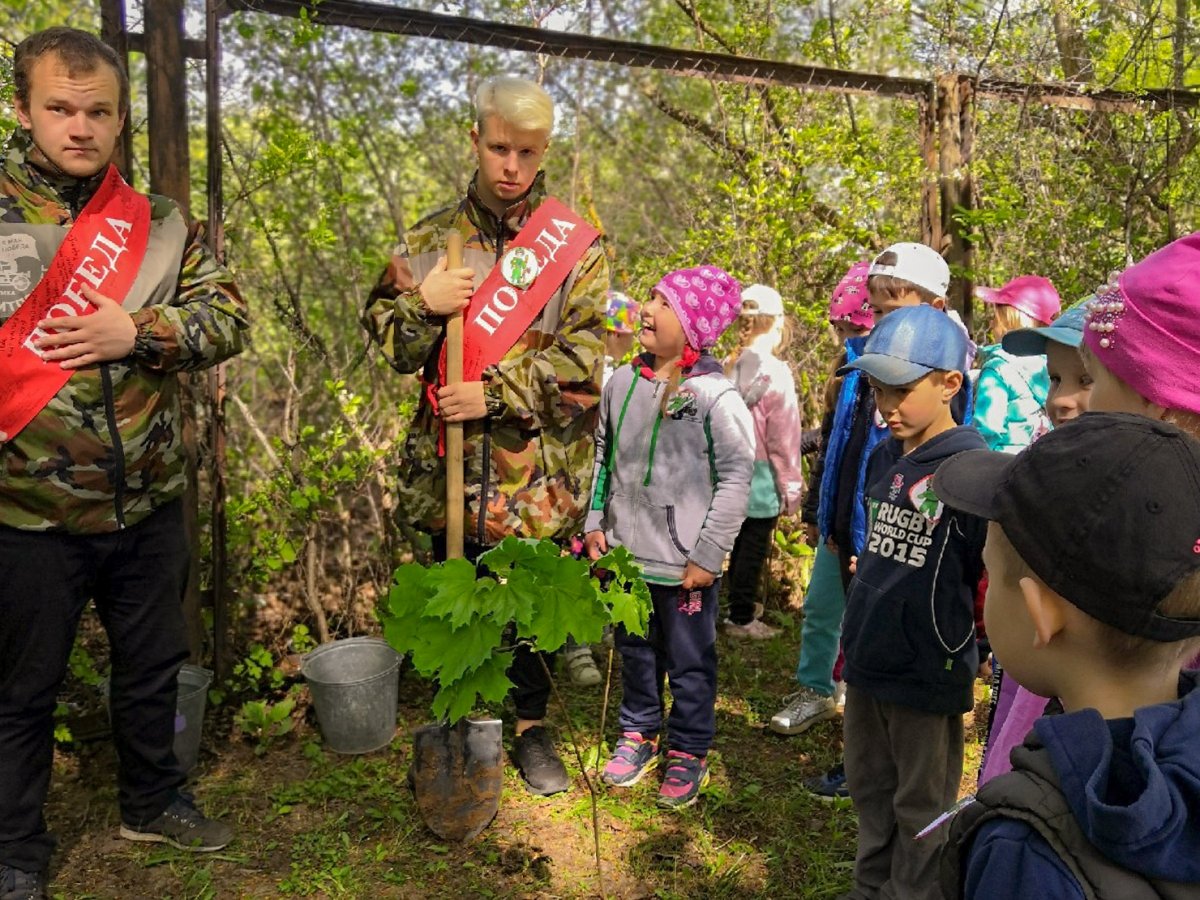 @vgmha Новость от 17-05-2019