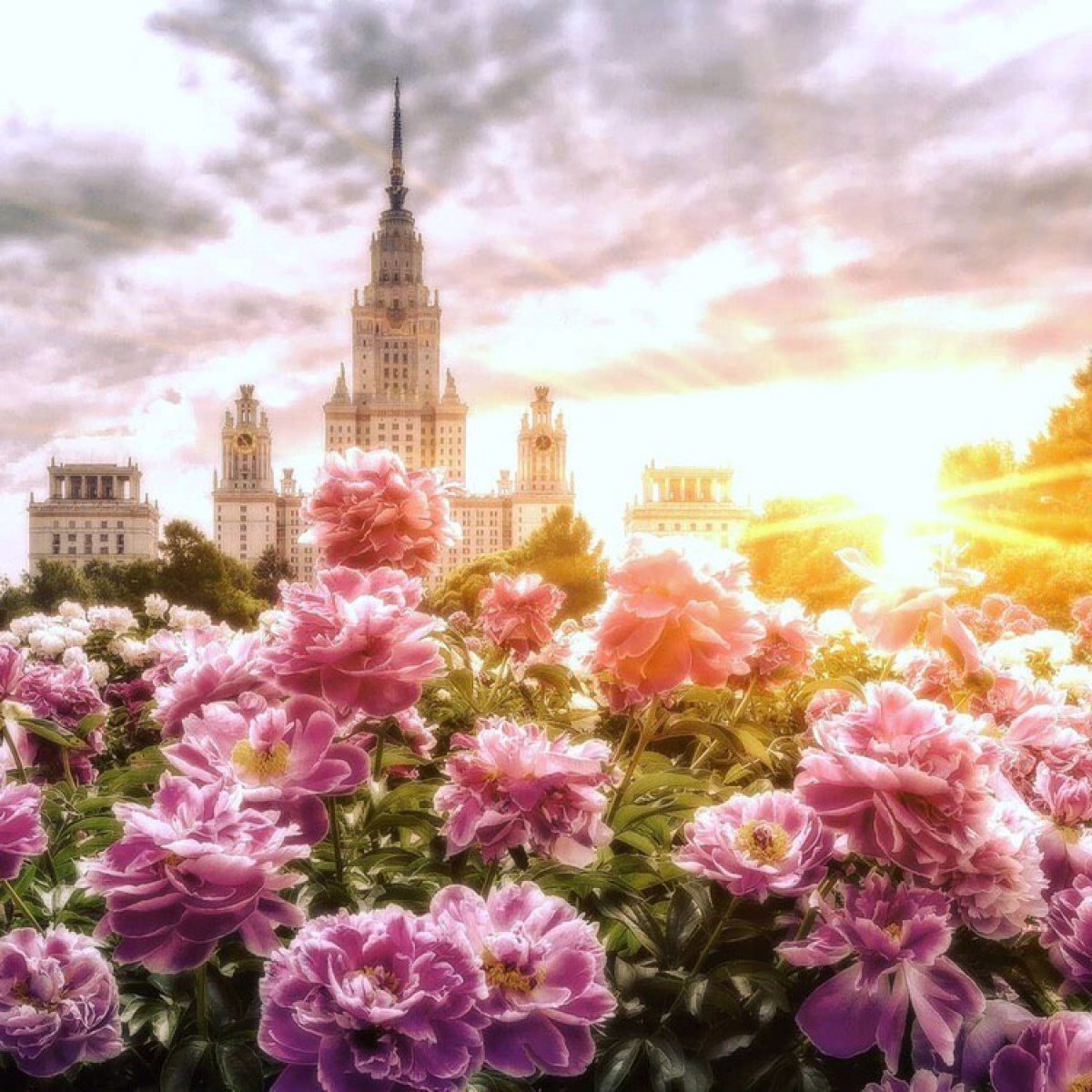 Подводим итоги конкурса от Издательского дома Московского университета!
